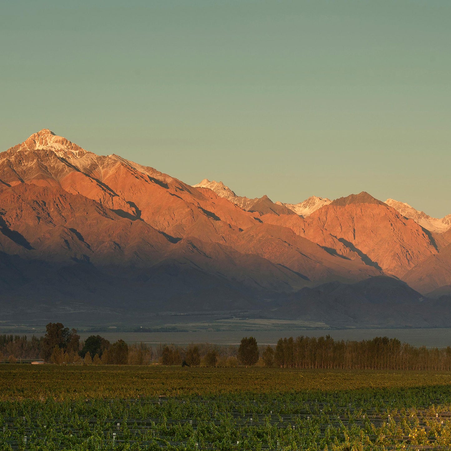 Argentina - Altamira, Uco Valley